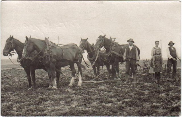 Alte Fotos aus Mattstetten